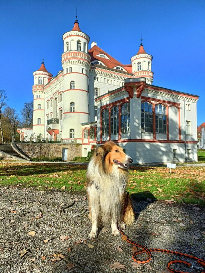 Apartament Widokowy Karkonosze Warmbrunn 外观 照片